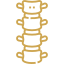 Strengthen the Vertebral Column